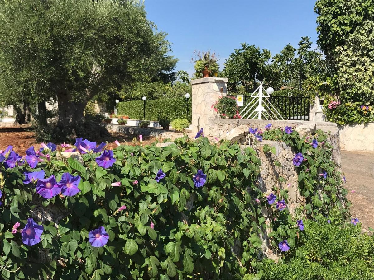 Готель Il Trullo Di Nonno Angelo San Marco Локоротондо Екстер'єр фото
