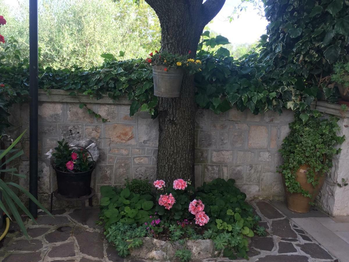Готель Il Trullo Di Nonno Angelo San Marco Локоротондо Екстер'єр фото